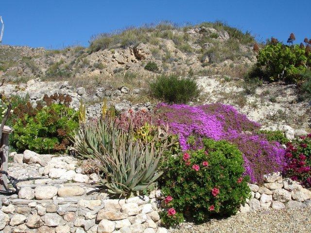 Almond Reef Casa Rural Los Alias Kamer foto